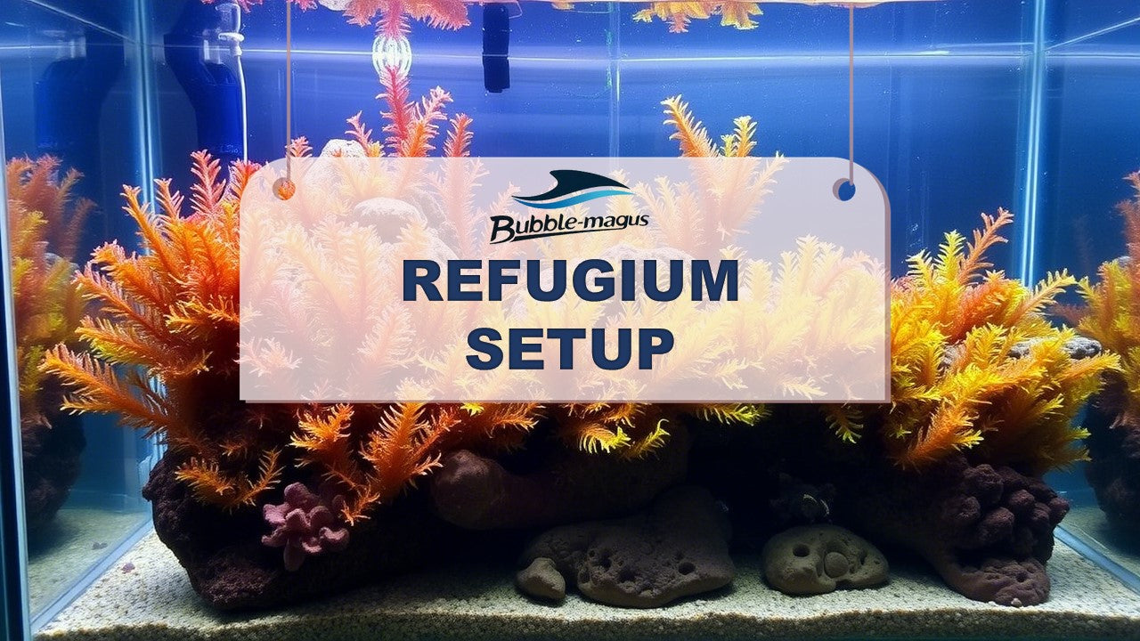 Photo inspiration: Picture Idea: Refugium Setup For Nitrate Phosphate Control A Lazy Reefer S