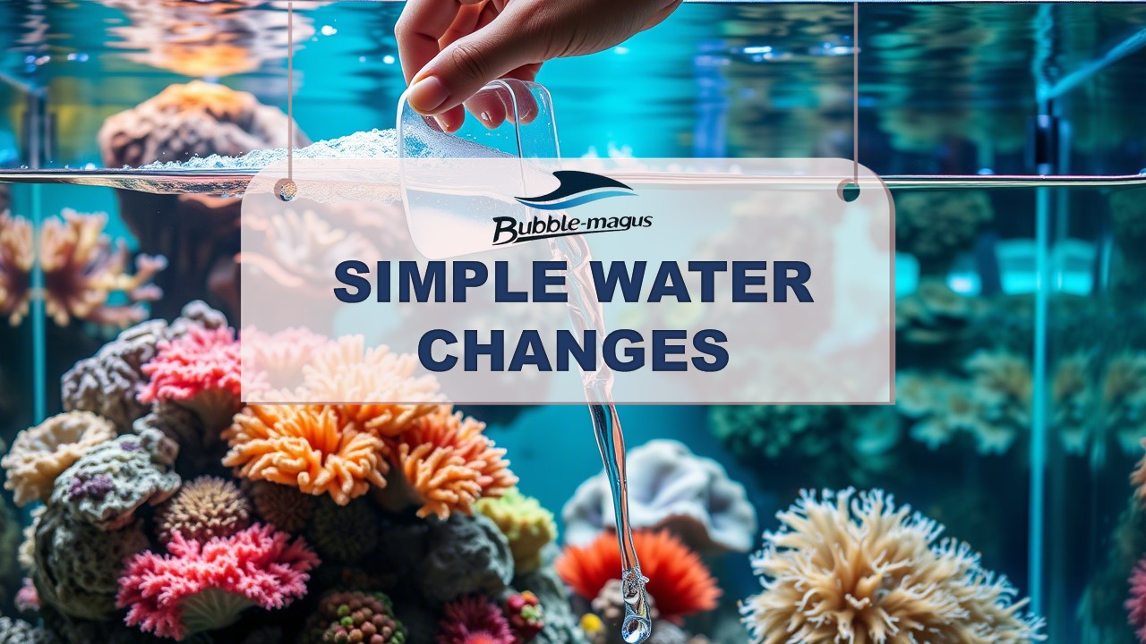 Image showcasing Transform Your Saltwater Aquarium with Simple Water Changes: A Game-Ch ...