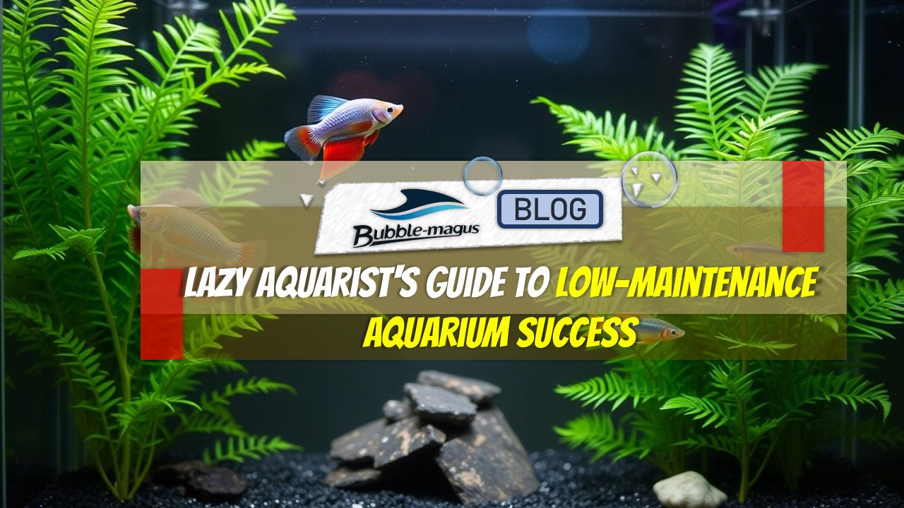 View of The Lazy Aquarist's Guide to Low-Maintenance Aquarium Success: Smart R ...