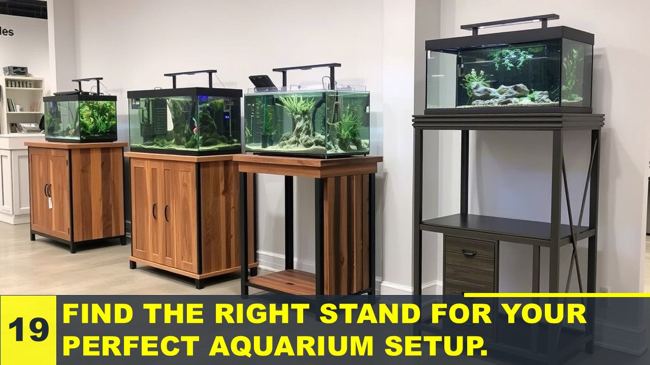 Aquarium Stand for Ornamental Fish Activity: Enhance Elegance & Safety