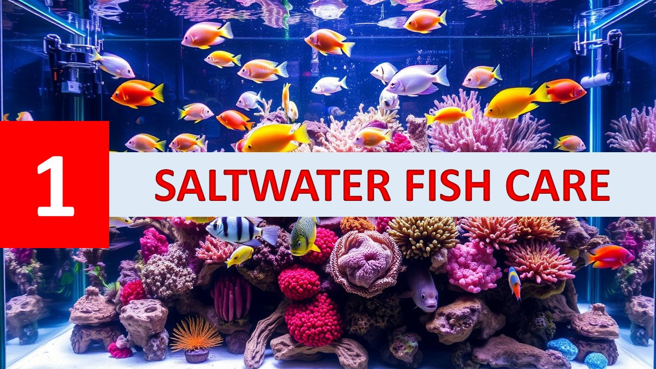 Industry Wake-Up Call: 5 Critical Changes to Radically Improve Saltwat ...
