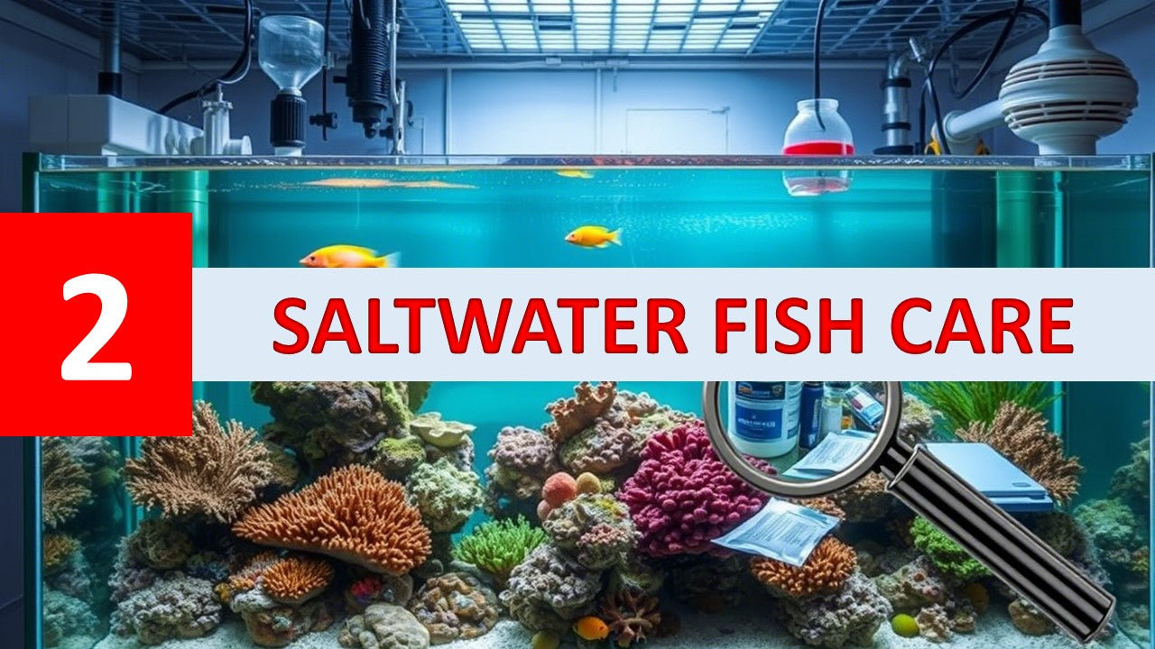 Stunning Saltwater Aquarium Parameter Control Mistakes For New Folks To Avoid image