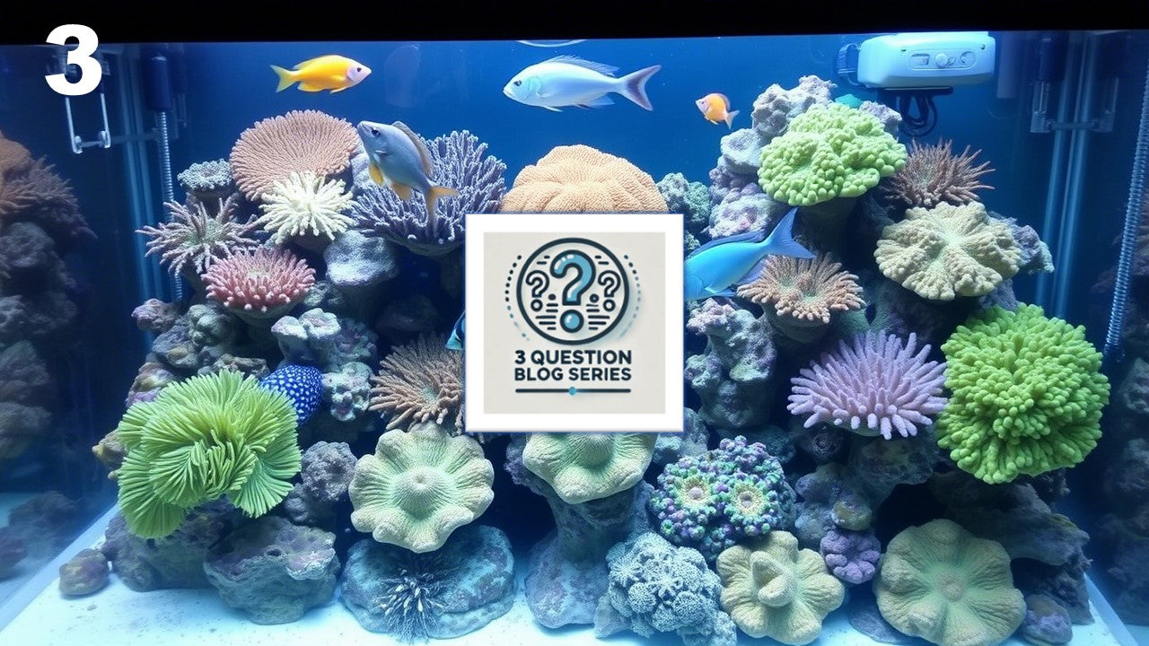 Troubleshooting Your Reef Tank: How to Solve Equipment, Dosing, and Co ... - Reef Tank Technical Troubleshooting For Beginners