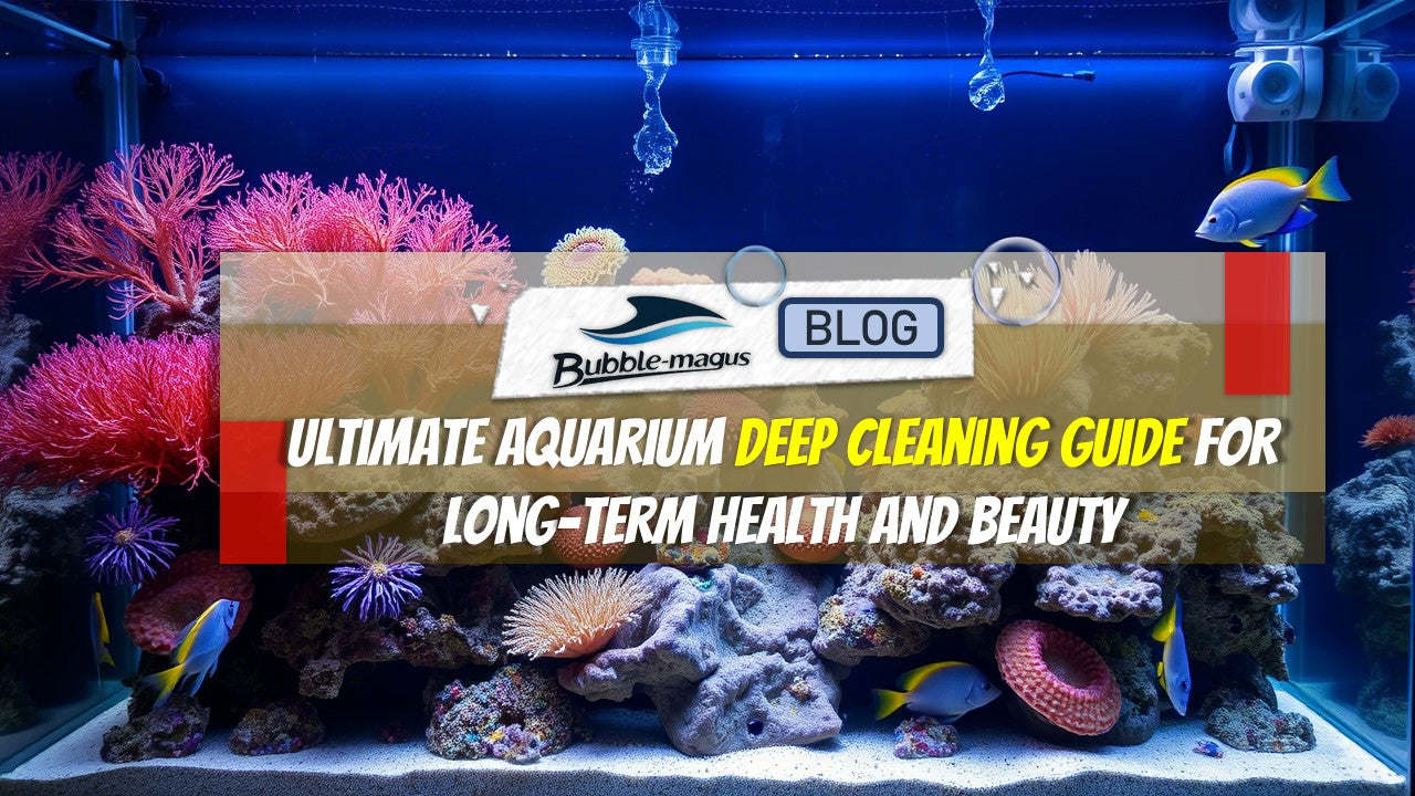 Step-by-Step Cleaning Process