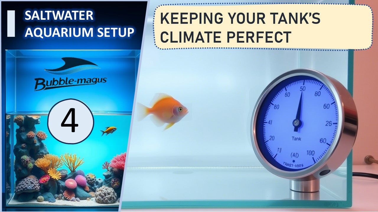Urban Fish Farming (Aquaponics 2.0) - RateMyFishTank.com - Avoiding Saltwater Aquarium Air Pump Mistakes For Beginners