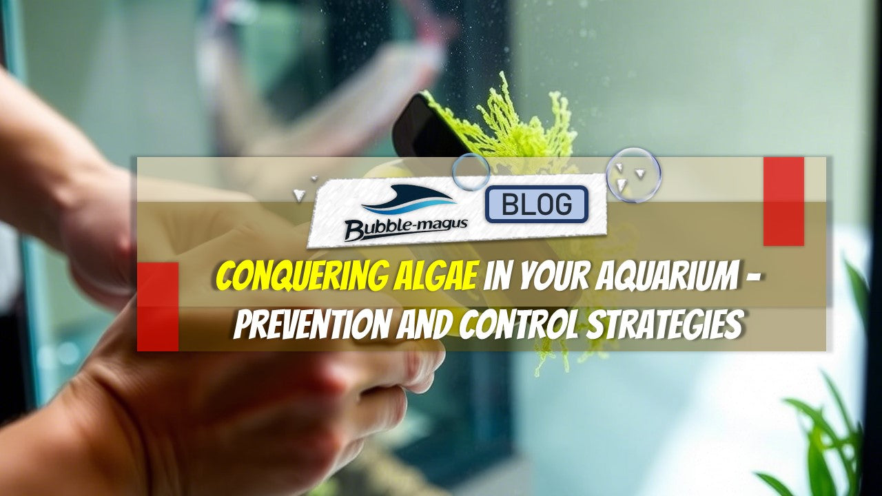 Image showcasing From Fuzz to Fabulous: Conquering Algae in Your Aquarium - Prevention ...