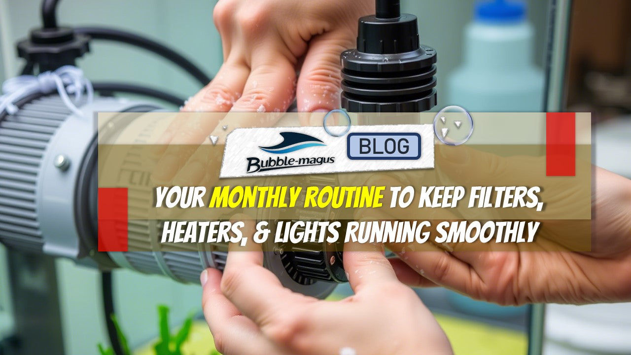 Equipment Essentials: Your Monthly Maintenance Routine to Keep Aquariu ...