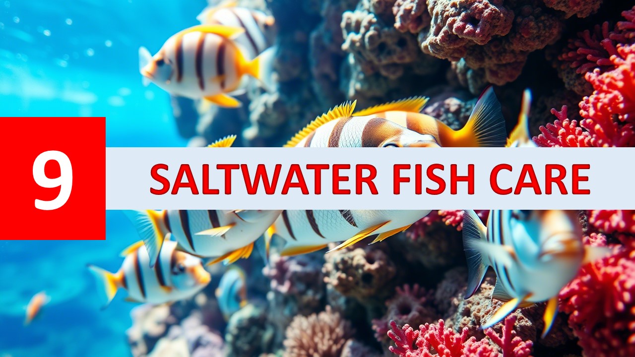 Image showcasing The Saltwater Fish Health Bible: Your A-Z Masterclass in Disease Preve ...