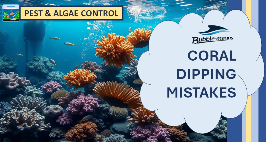 7 Coral Dipping Mistakes to Avoid for a Healthier Reef Tank – BUBBLE-MAGUS