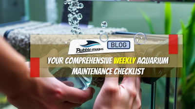 Maintenance Tips – BUBBLE-MAGUS