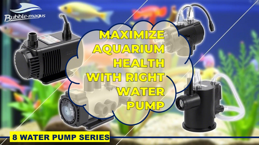 How Aquarium Water Pumps Work