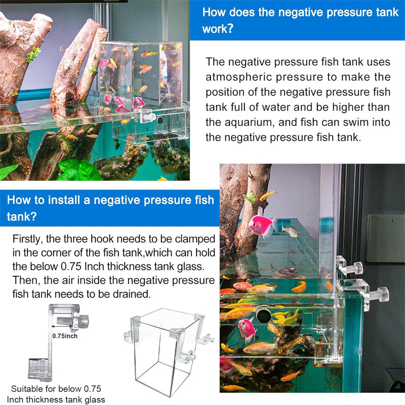 clear fish tank hooked onto inside of another fish tank Bubble Magus 2-in-1 Negative Pressure Fish Tank & Drip Acclimation Kit